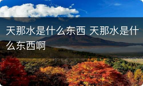 天那水是什么东西 天那水是什么东西啊