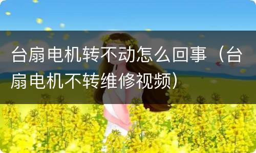 台扇电机转不动怎么回事（台扇电机不转维修视频）