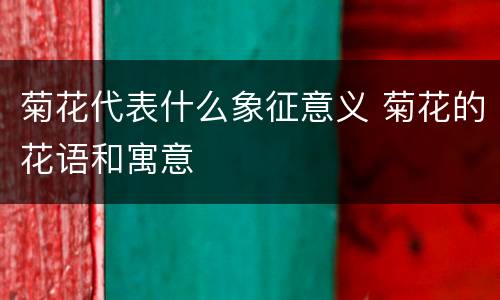 菊花代表什么象征意义 菊花的花语和寓意