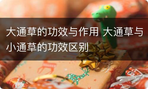 大通草的功效与作用 大通草与小通草的功效区别