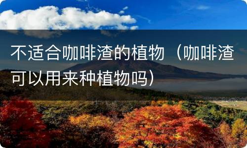 不适合咖啡渣的植物（咖啡渣可以用来种植物吗）