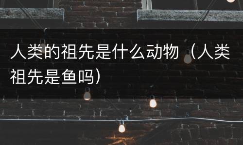 人类的祖先是什么动物（人类祖先是鱼吗）
