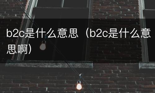 b2c是什么意思（b2c是什么意思啊）