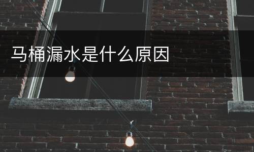 马桶漏水是什么原因