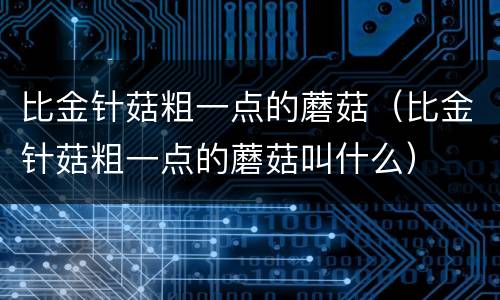 比金针菇粗一点的蘑菇（比金针菇粗一点的蘑菇叫什么）