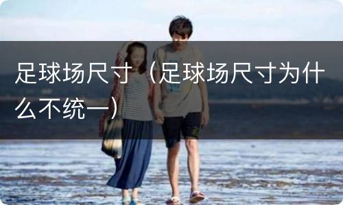 足球场尺寸（足球场尺寸为什么不统一）