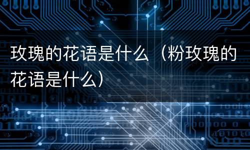 玫瑰的花语是什么（粉玫瑰的花语是什么）