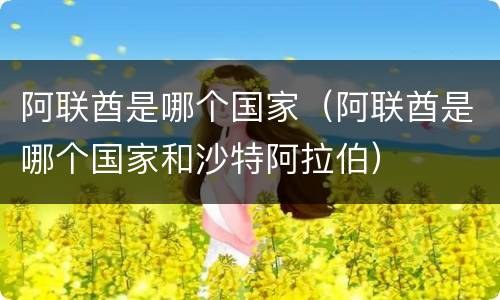 阿联酋是哪个国家（阿联酋是哪个国家和沙特阿拉伯）