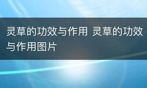 灵草的功效与作用 灵草的功效与作用图片