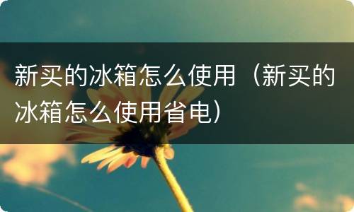新买的冰箱怎么使用（新买的冰箱怎么使用省电）