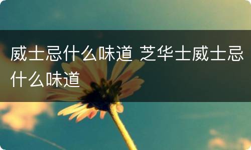 威士忌什么味道 芝华士威士忌什么味道