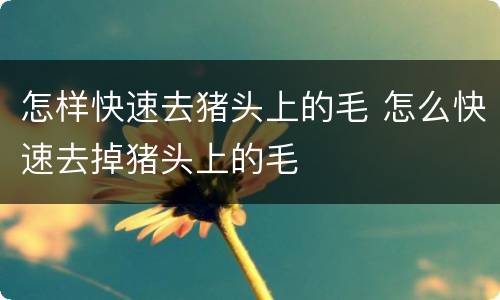 怎样快速去猪头上的毛 怎么快速去掉猪头上的毛