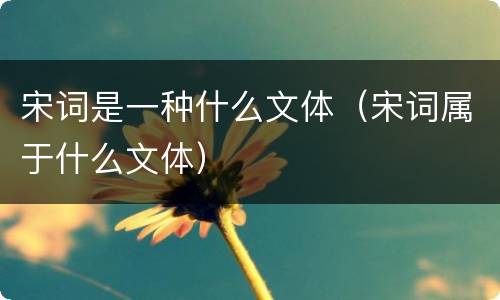 宋词是一种什么文体（宋词属于什么文体）