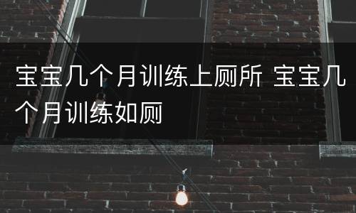 宝宝几个月训练上厕所 宝宝几个月训练如厕