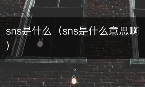 sns是什么（sns是什么意思啊）
