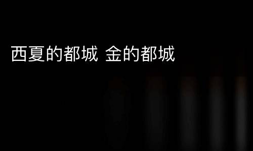 西夏的都城 金的都城