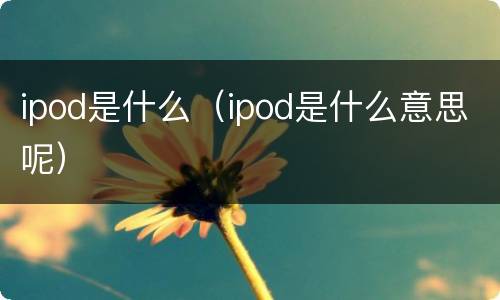 ipod是什么（ipod是什么意思呢）