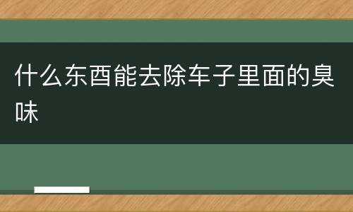 什么东酉能去除车子里面的臭味