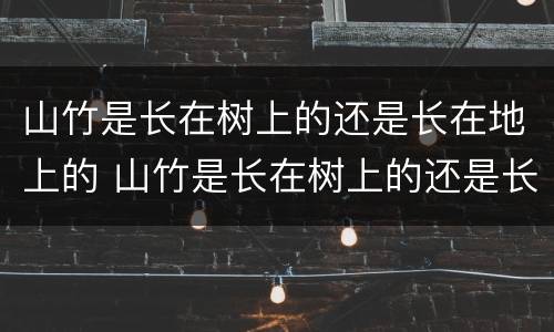 山竹是长在树上的还是长在地上的 山竹是长在树上的还是长在地下的