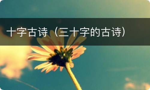 十字古诗（三十字的古诗）