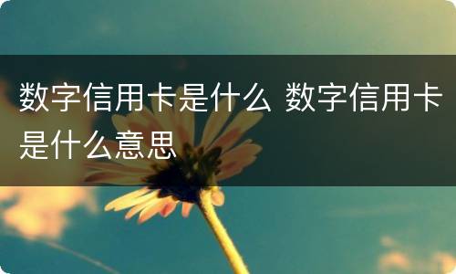数字信用卡是什么 数字信用卡是什么意思