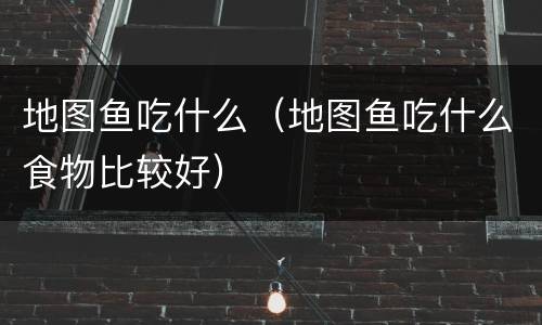 地图鱼吃什么（地图鱼吃什么食物比较好）