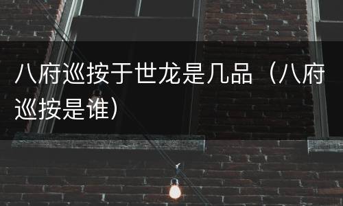 八府巡按于世龙是几品（八府巡按是谁）