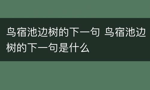 鸟宿池边树的下一句 鸟宿池边树的下一句是什么