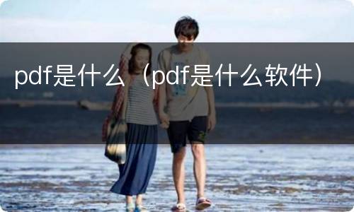 pdf是什么（pdf是什么软件）