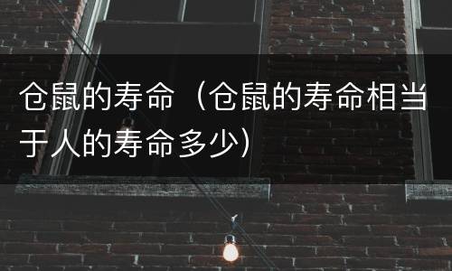 仓鼠的寿命（仓鼠的寿命相当于人的寿命多少）