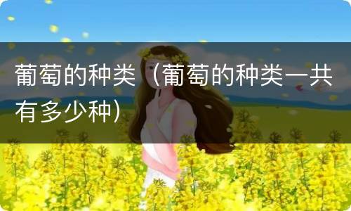 葡萄的种类（葡萄的种类一共有多少种）