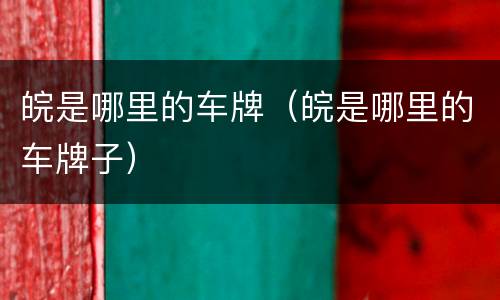 皖是哪里的车牌（皖是哪里的车牌子）