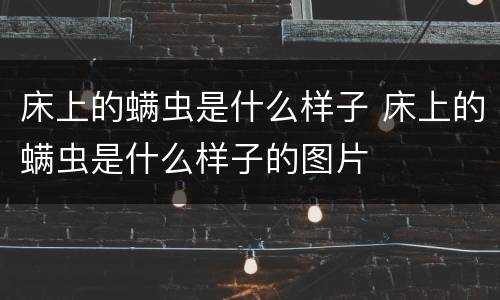 床上的螨虫是什么样子 床上的螨虫是什么样子的图片