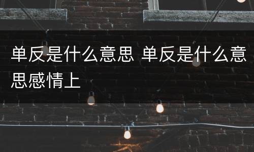 单反是什么意思 单反是什么意思感情上