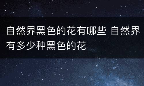 自然界黑色的花有哪些 自然界有多少种黑色的花