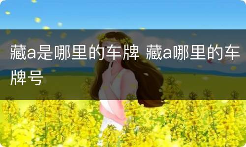 藏a是哪里的车牌 藏a哪里的车牌号