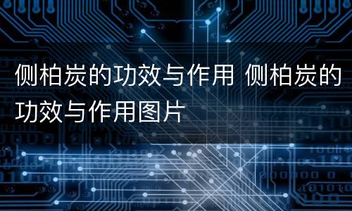侧柏炭的功效与作用 侧柏炭的功效与作用图片