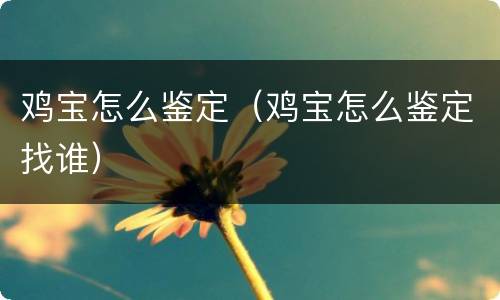 鸡宝怎么鉴定（鸡宝怎么鉴定找谁）