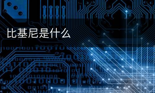 比基尼是什么