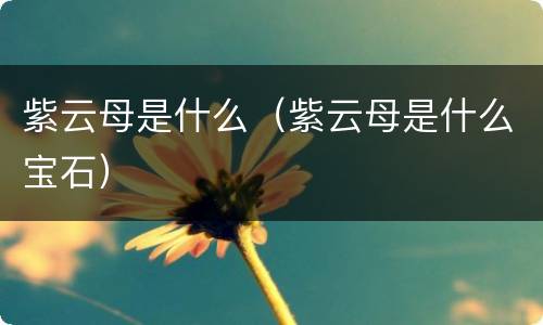 紫云母是什么（紫云母是什么宝石）