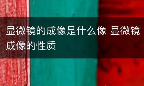 显微镜的成像是什么像 显微镜成像的性质