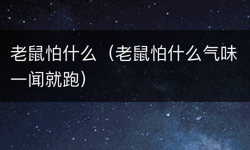 老鼠怕什么（老鼠怕什么气味一闻就跑）