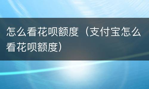 怎么看花呗额度（支付宝怎么看花呗额度）