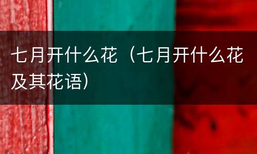 七月开什么花（七月开什么花及其花语）