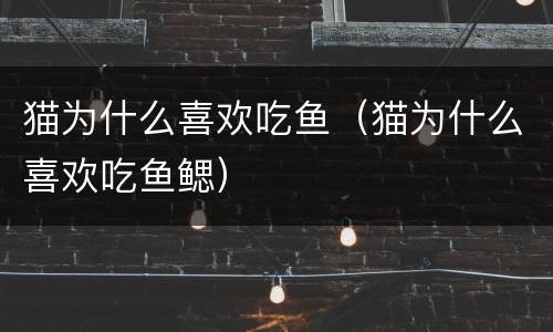猫为什么喜欢吃鱼（猫为什么喜欢吃鱼鳃）