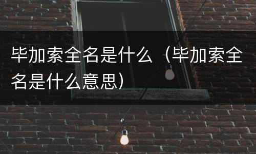 毕加索全名是什么（毕加索全名是什么意思）