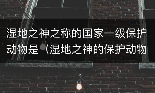 湿地之神之称的国家一级保护动物是（湿地之神的保护动物是什么）