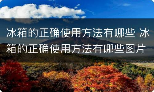 冰箱的正确使用方法有哪些 冰箱的正确使用方法有哪些图片
