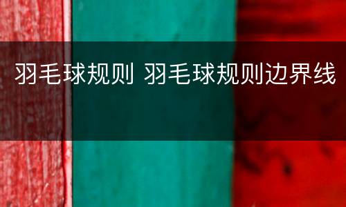 羽毛球规则 羽毛球规则边界线