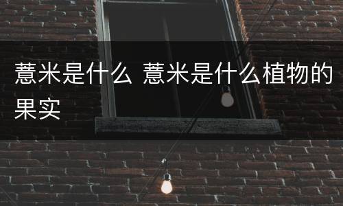 薏米是什么 薏米是什么植物的果实